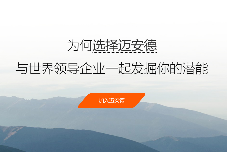 迈安德集团有限公司